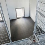 Best Flooring For Dog Boarding