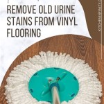 How To Remove Old Urine Stains From Vinyl Flooring In House