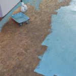 Painting Osb Flooring