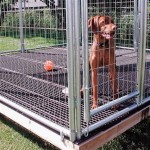 Polymax Poultry Kennel Flooring