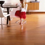 Teragren Synergy Bamboo Flooring Reviews